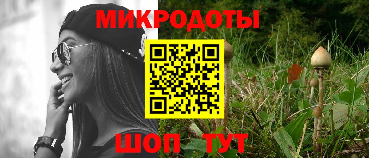 Псилоцибиновые грибы Cubensis  Вход с VPN  Липецк 