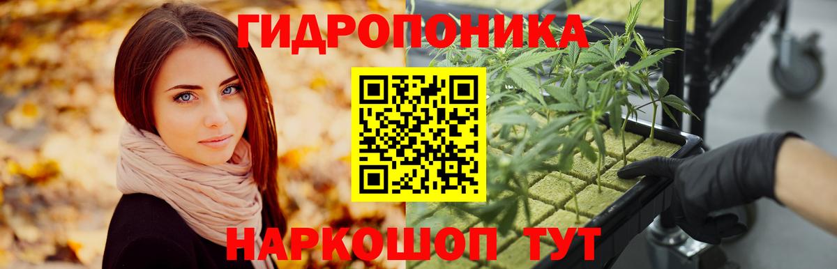 Конопля сатива  Бошки марихуана конопля  Липецк  Вход с VPN  Марихуана White Widow 